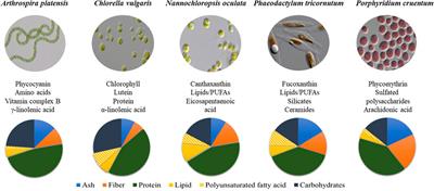 Use of algae as food ingredient: sensory acceptance and commercial products